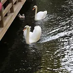 Отель Golden Key Bordubet Мармарис