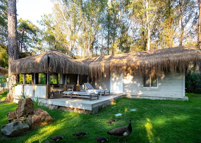 מלון Golden Key Bordubet