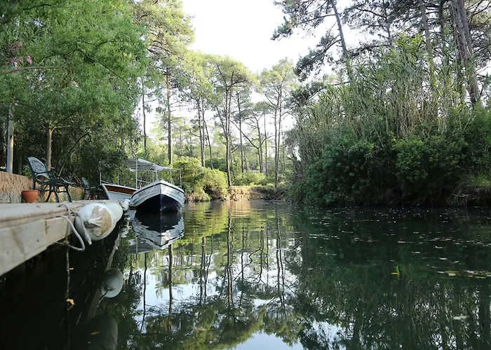 Golden Key Bordubet מלון 5*