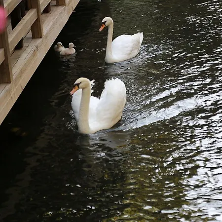 Hotel Golden Key Bordubet Marmaris
