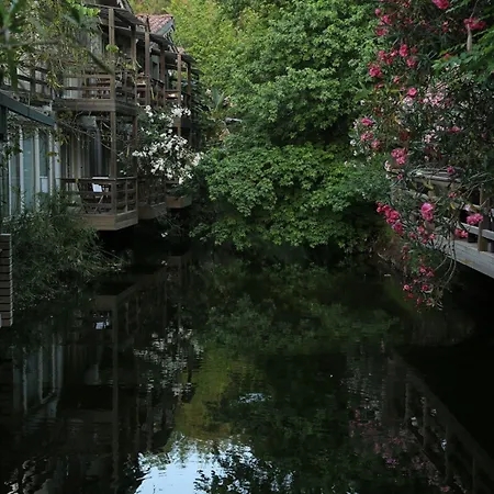 Hotel Golden Key Bordubet 5*