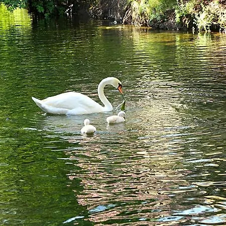 Golden Key Bordubet Marmaris