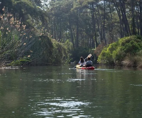 Golden Key Bordubet 5*