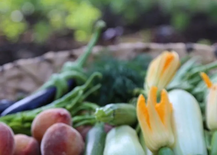 勃杜贝金钥匙酒店 5*