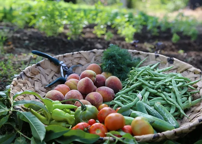 勃杜贝金钥匙酒店 5*