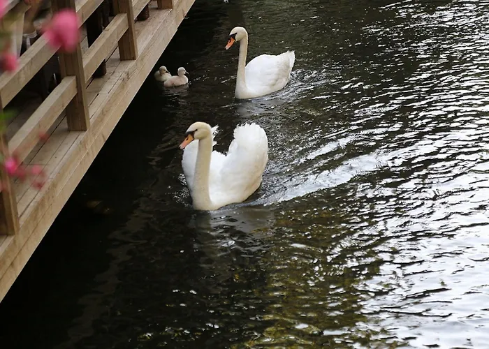 酒店 勃杜贝金钥匙酒店 马尔马里斯