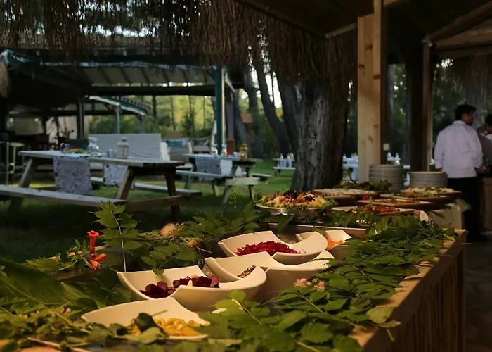 Golden Key Bordubet 5* Marmaris