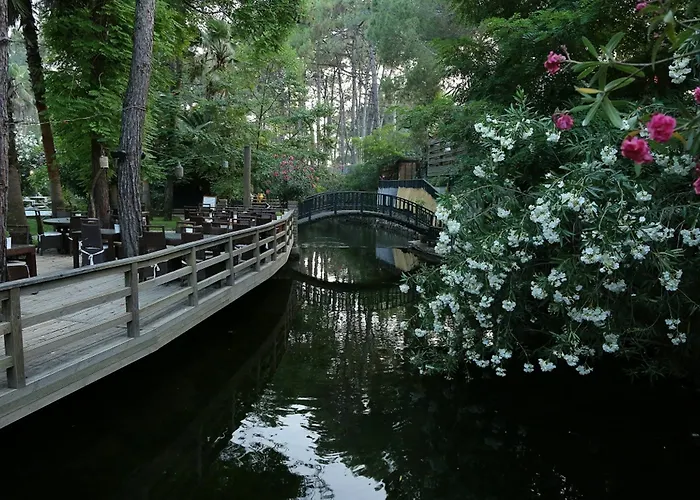 Golden Key Bordubet 5*