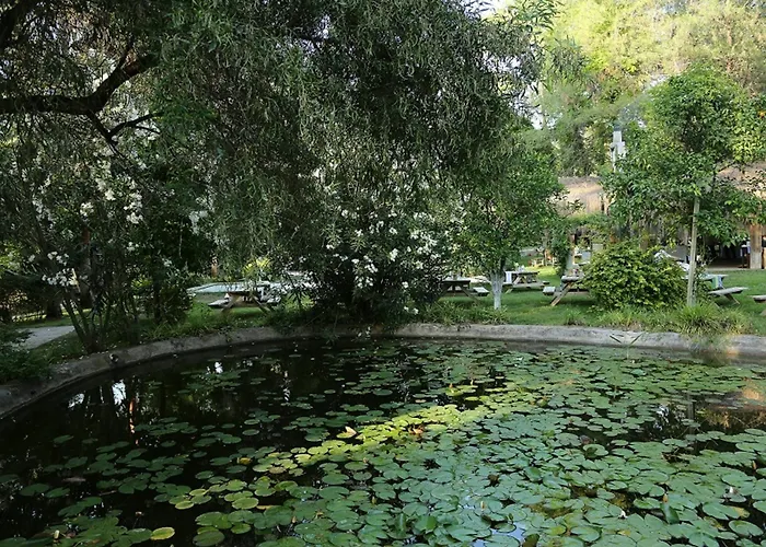 Golden Key Bordubet 5*