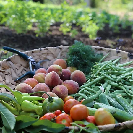 Golden Key Bordubet 5*