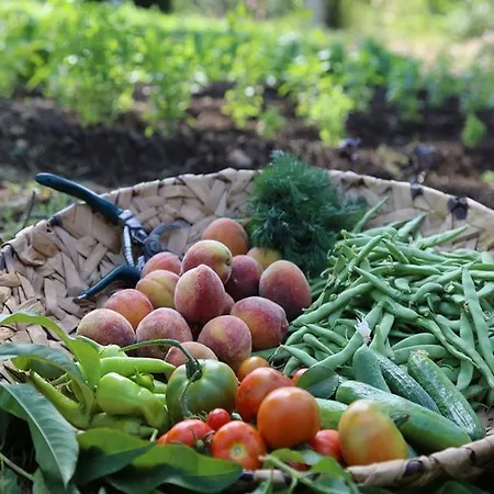 Golden Key Bordubet 5* Marmaris