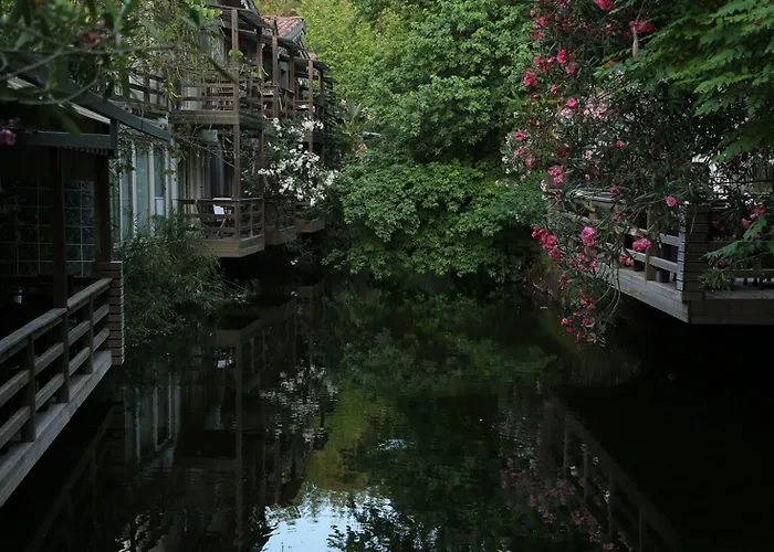 Hotel Golden Key Bordubet 5*