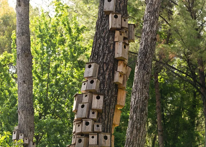 Golden Key Bordubet 5*