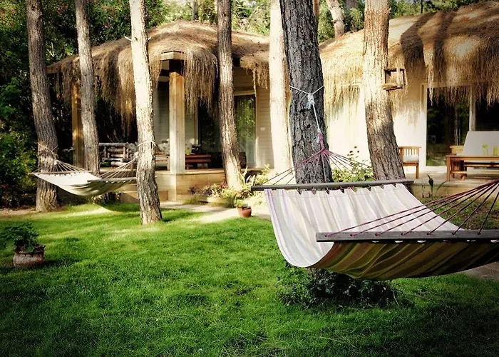 Hotel Golden Key Bordubet